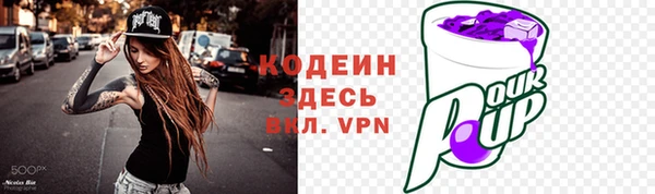 ГАЛЛЮЦИНОГЕННЫЕ ГРИБЫ Кадников