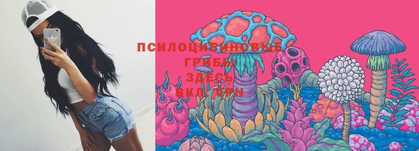 шишки Вяземский