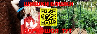 прущие грибы Аргун