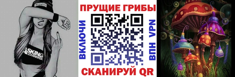 Псилоцибиновые грибы Psilocybine cubensis  купить наркоту  Мариинск 