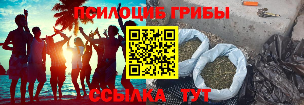 Мариинск  Галлюциногенные грибы прущие грибы  Псилоцибиновые грибы Magic Shrooms  Вход с VPN 